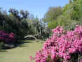 Avery Island