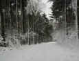 March Snow
