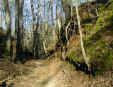Natchez Trace Parkway