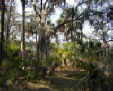 Skidaway Island