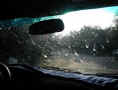 Texan Windshield