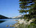 Western States