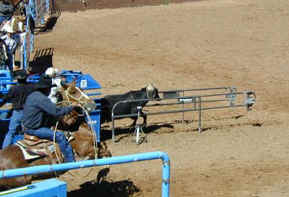 Roping Team at the Gate