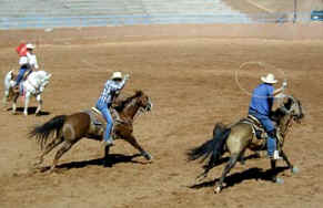 Team Roping at Red Rock State Park