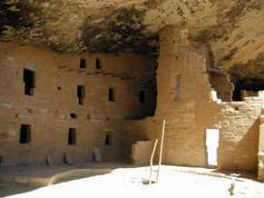 Spruce Tree House