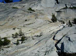 Tioga Road Granite 