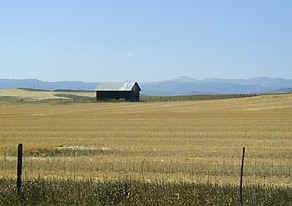 Barn in the Fields
