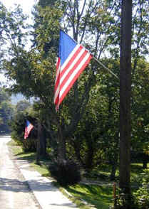 Flags on teltphone poles 