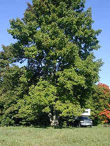 Savoy Mountain State Park